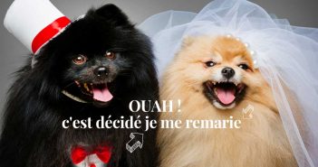 C’est décidé, je me REmarie ! C'est décidé je me remarie