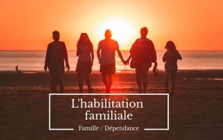L’habilitation familiale en 10 questions clés habilitation familiale