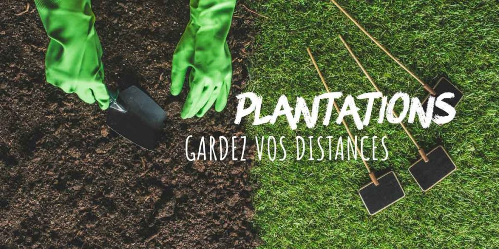 plantations, les bonnes distances