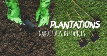 Plantations, respectez les bonnes distances plantations, les bonnes distances